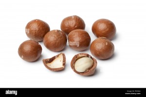 Macadamianoot in dop from Mozambique