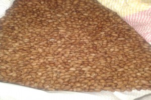 Amendoim from Mozambique