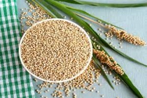 White/Yellow Sorghum from Nigeria