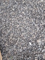 Palm kernel Shell from Nigeria