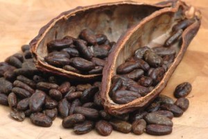 Grãos de cacau from Nigéria
