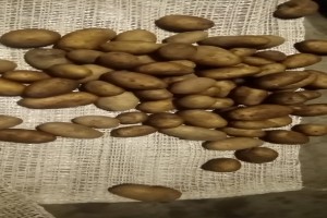 Pommes de terre from Kenya