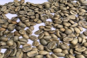 caffè in grani verdi from Papua Nuova Guinea