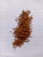 Zafferano from Papua Nuova Guinea