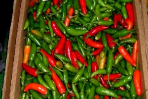 Peperoncino verde from Ruanda