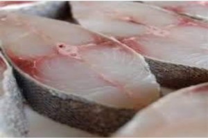 Fish  in local name (jeedar) from Somalia
