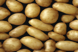 Potato from Syria