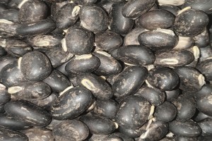 Koffiebonen from Eswatini