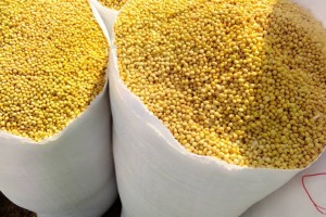 Graines de soja biologiques from Togo