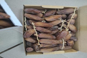 Datteri freschi from Tunisia