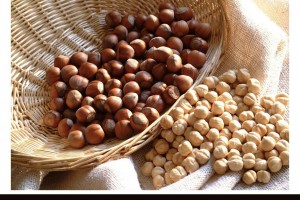 Hazelnuts from Turkey