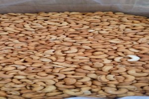 Cashew nuts from Tanzania