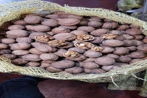 Walnuts from Tanzania