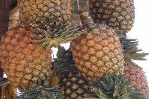 Pineapple from Tanzania