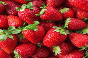Fragola from Tanzania