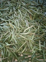Vanilla products from Tanzania