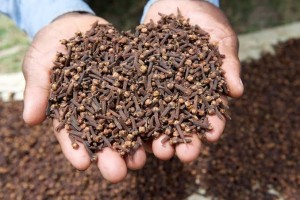 Cloves from Tanzania