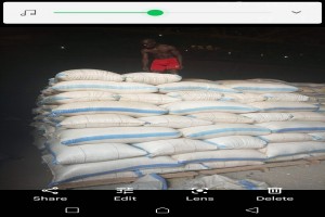 Maize from Tanzania