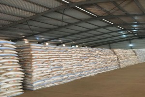 Soya Beans from Tanzania