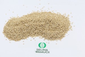Sesame Seeds from Tanzania