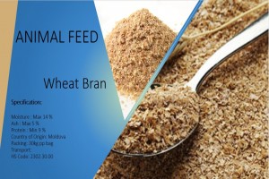 Wheat Bran from Ukraine