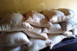 Soybean from Uganda