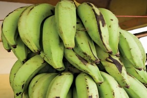 Banana Plantain from Uganda