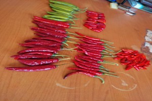 Peperoncino biologico from Uganda