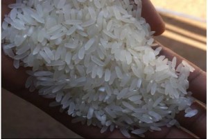 Riz (super) from Ouganda
