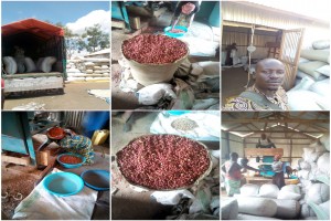 Arachides from Ouganda