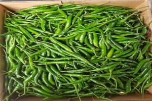Cabai Hijau from Uganda
