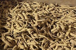 Ginseng Root from US