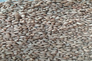 Almendra from Uzbekistán