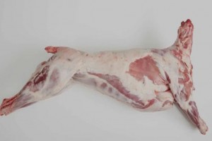 Carne di Capra Boer from Sudafrica