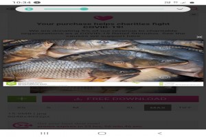 Mag Fishers from South Africa