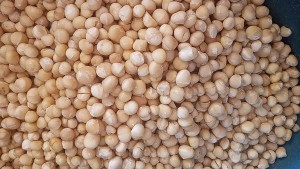 Macadamianoten from Zuid-Afrika