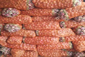 Cebolla roja from Zambia