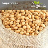Soya Beans from Zambia
