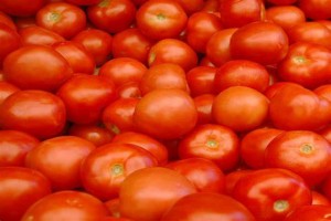 OrganicGo Tomatoes from Zimbabwe