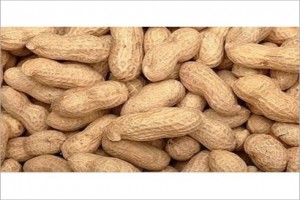 Groundnuts from Zimbabwe