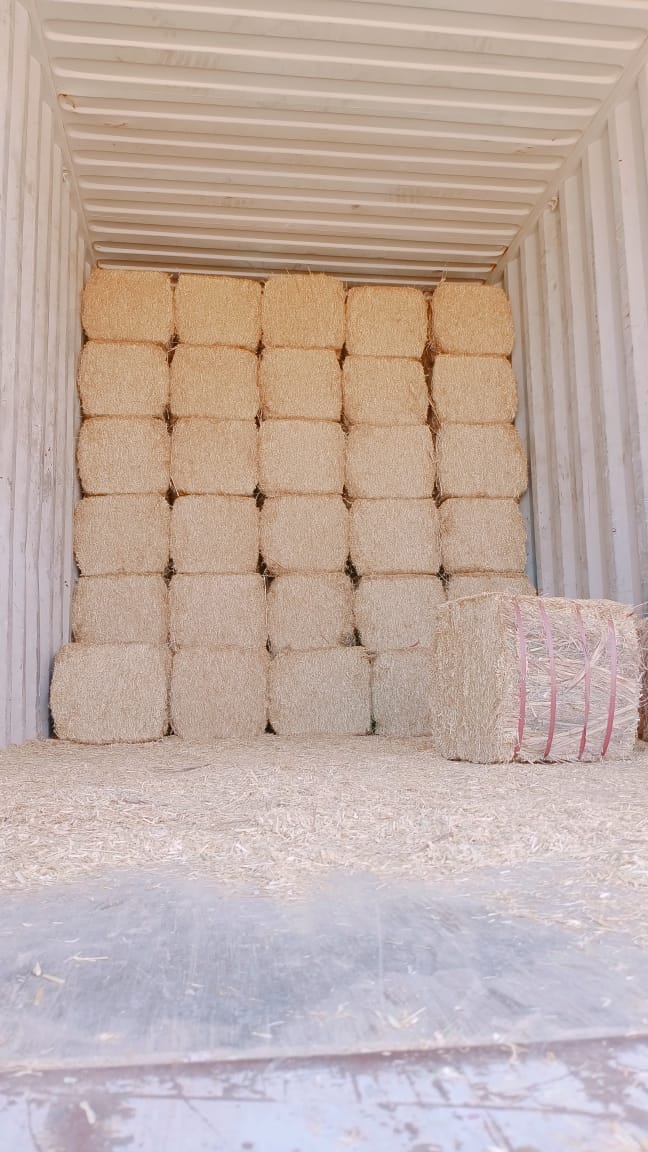 Wheat straw from Pakistan