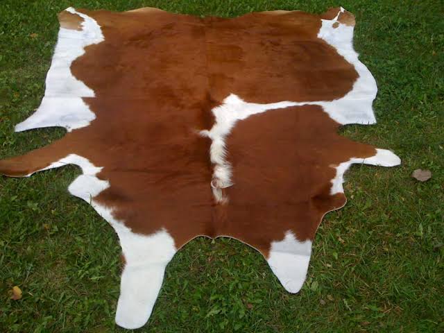 Skin hides , Grade A from Tanzania