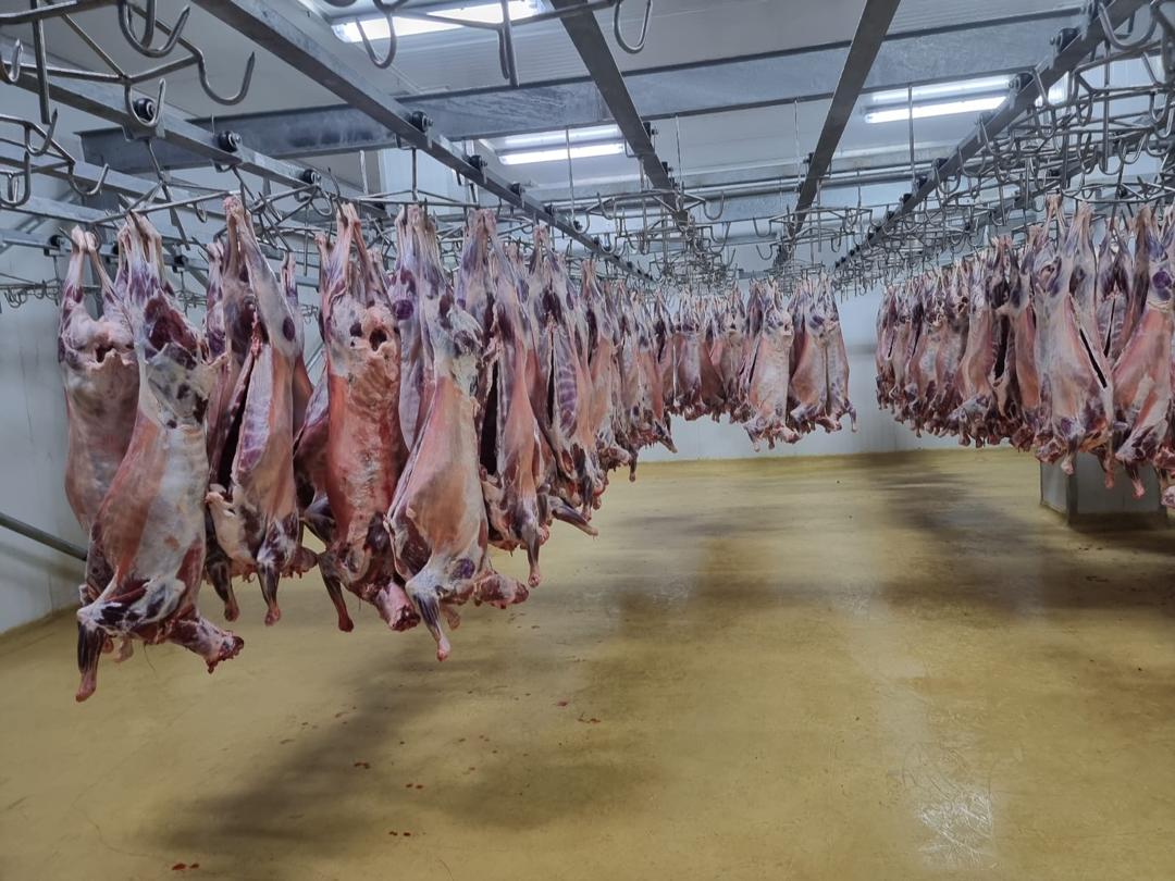 HALAL FRISCH/Gefrorenes FLEISCH from Uganda