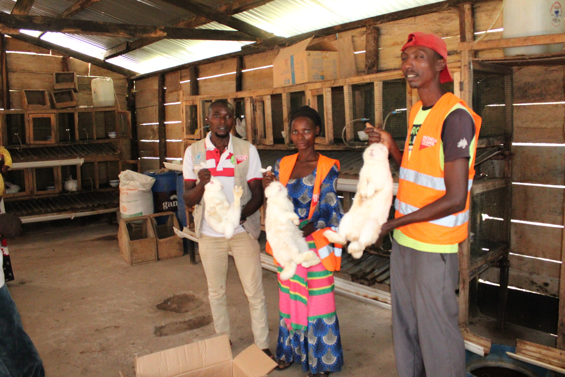 Rabbit Meat from Uganda
