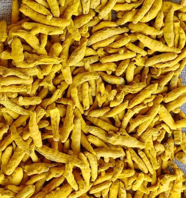 Kunyit Kering Utuh from India