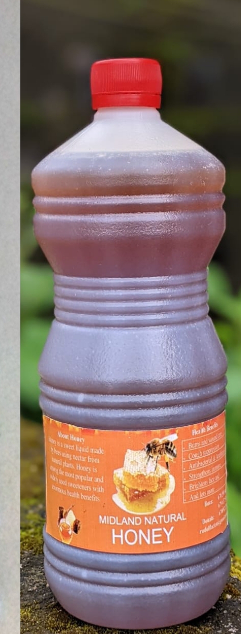 Madu murni alami from Kamerun