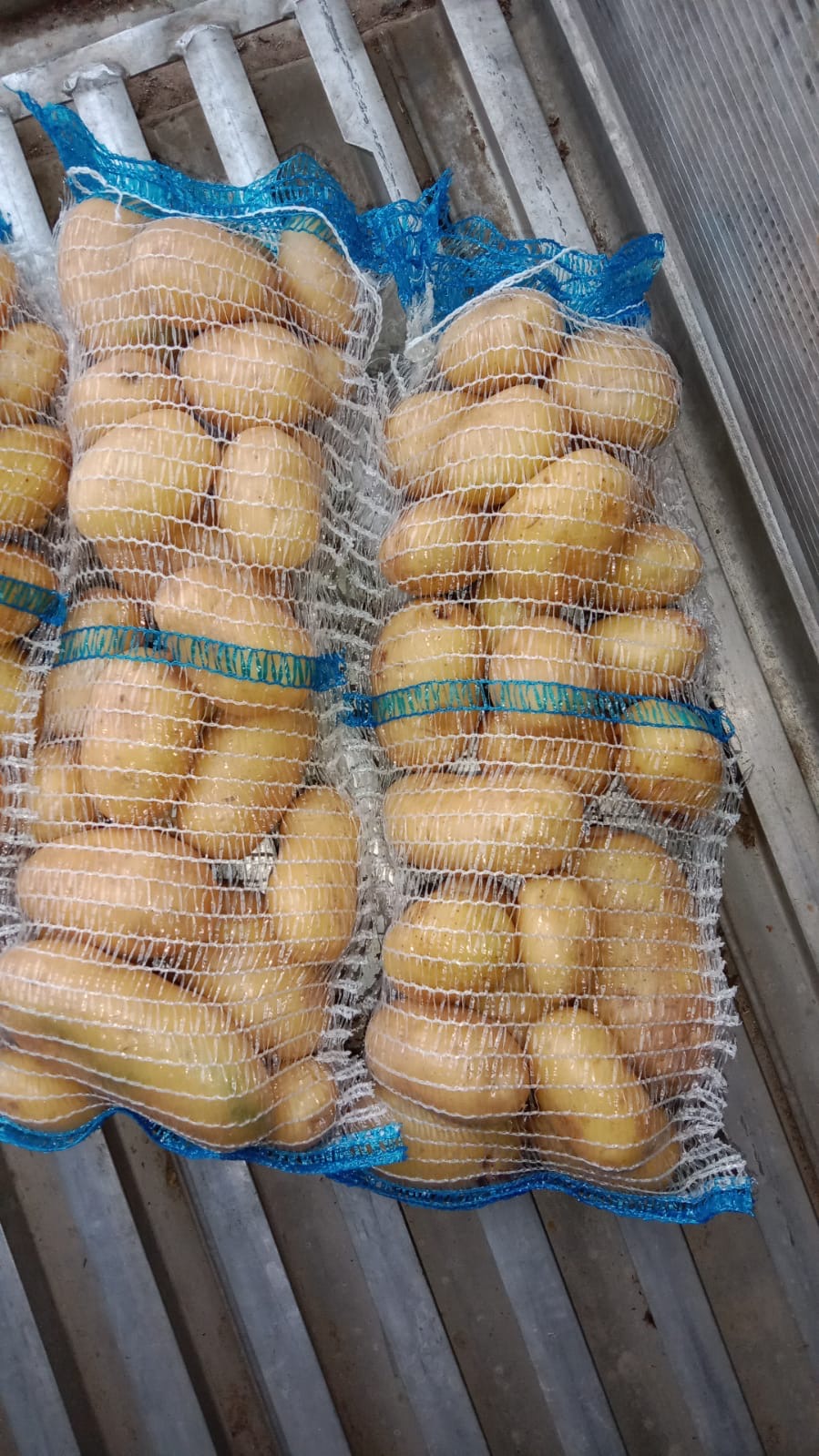 Potato from Pakistan