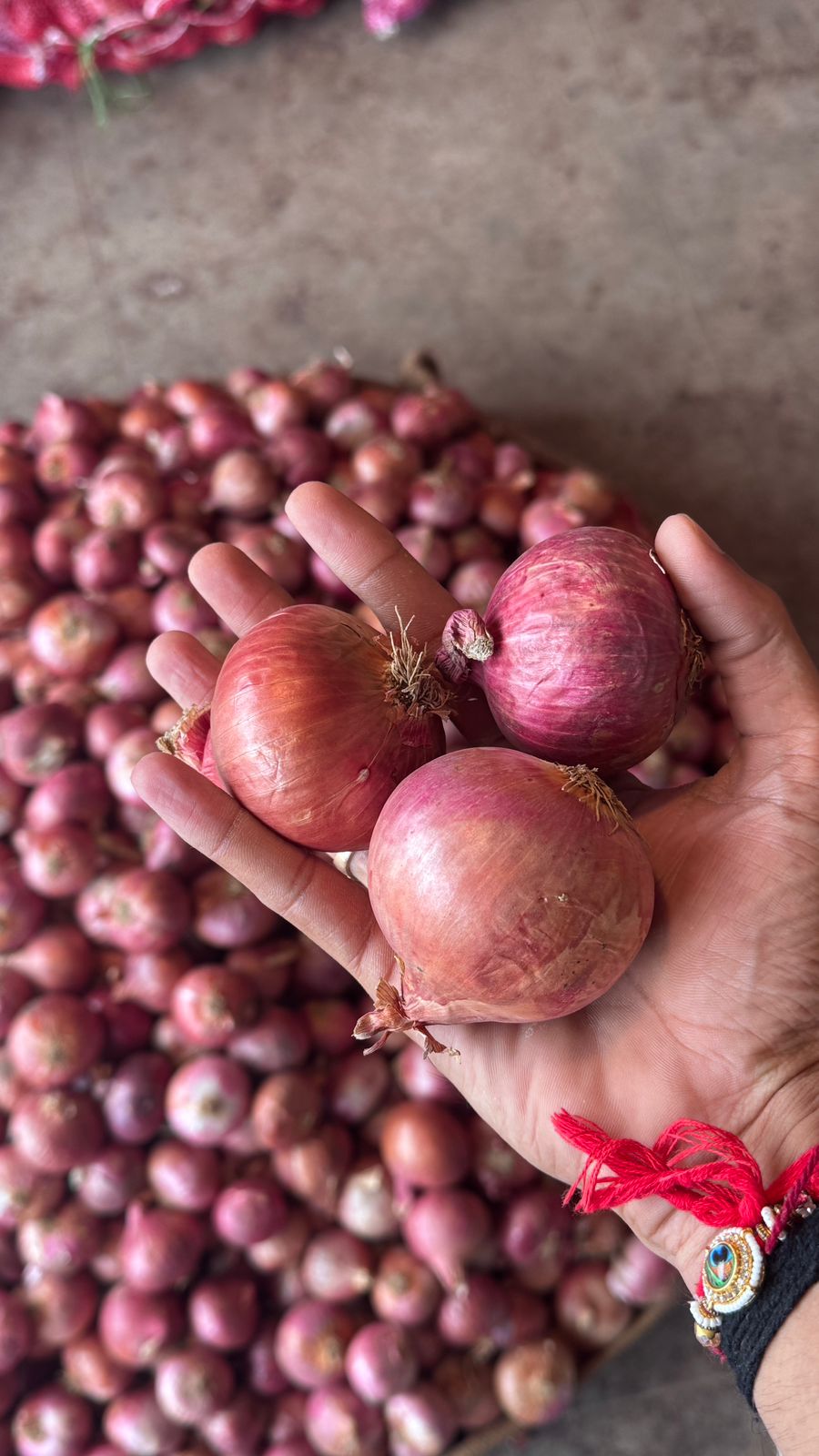 Onions grade A from India