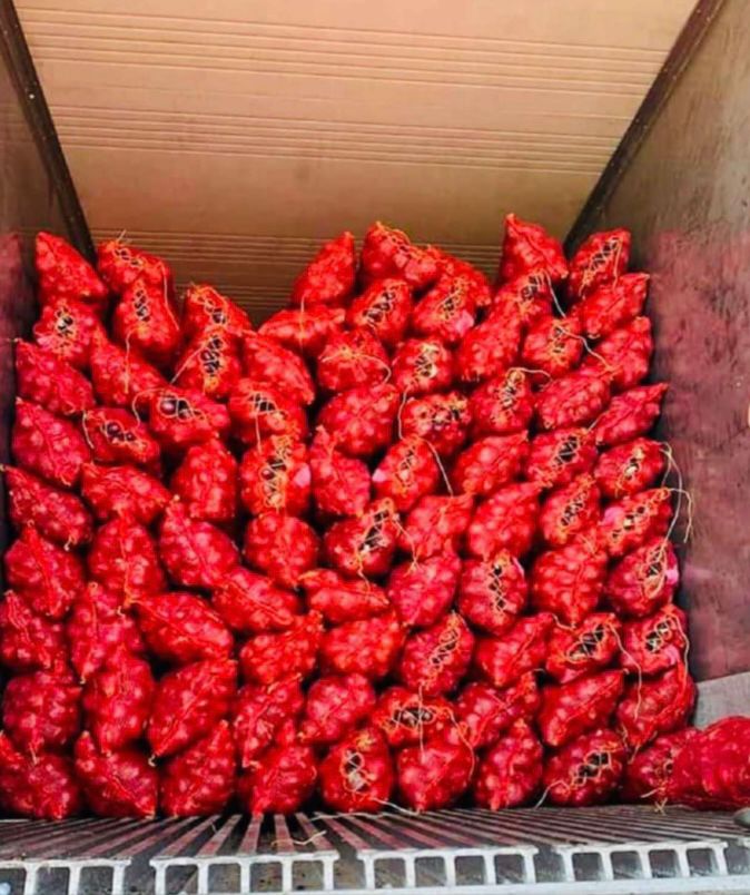 Cipolla rossa from India