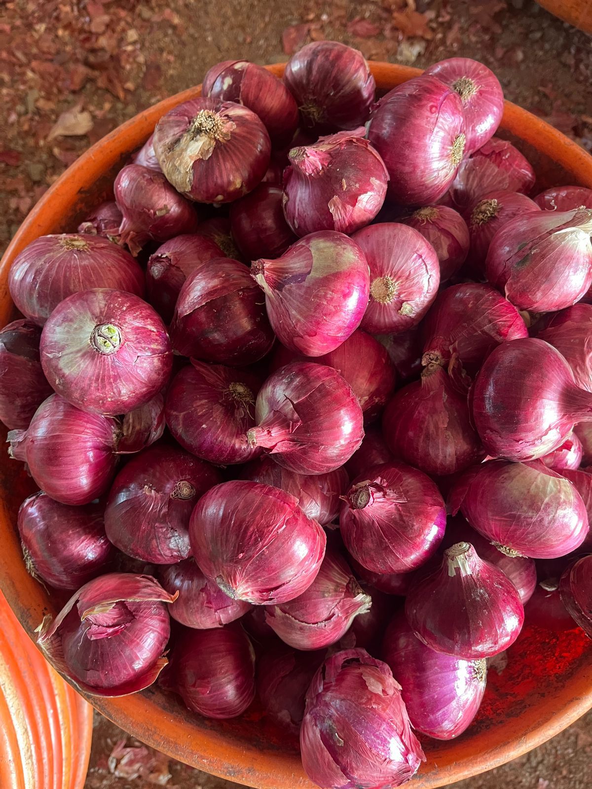 BAWANG MERAH from Wilayah Samudra Hindia Britania